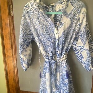 Zara Blue and White dress